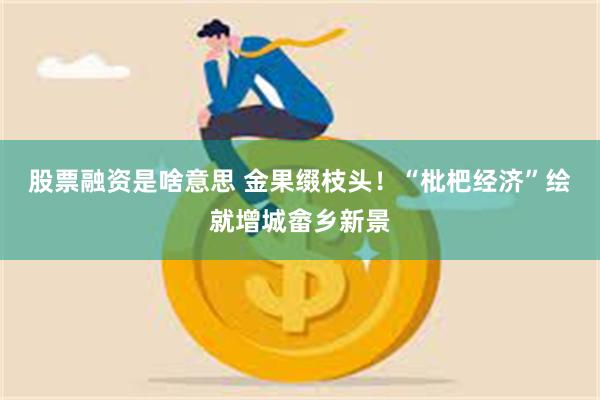 股票融资是啥意思 金果缀枝头！“枇杷经济”绘就增城畲乡新景