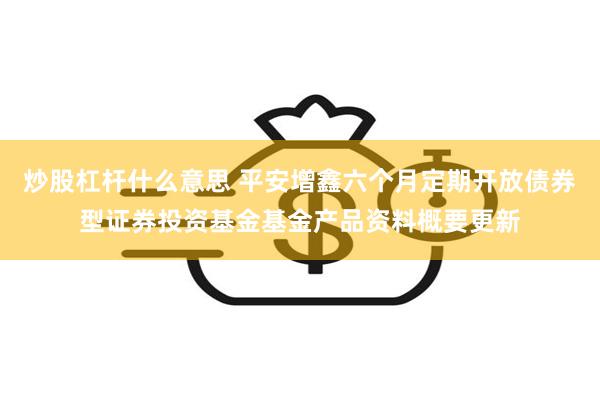 炒股杠杆什么意思 平安增鑫六个月定期开放债券型证券投资基金基金产品资料概要更新