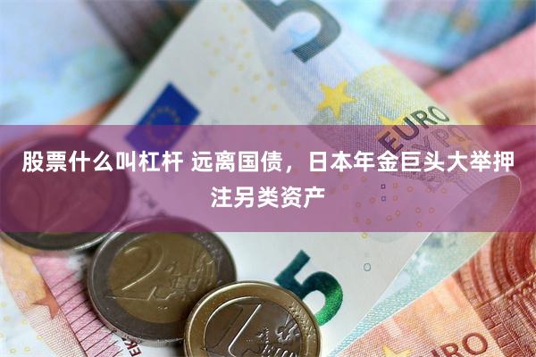 股票什么叫杠杆 远离国债，日本年金巨头大举押注另类资产