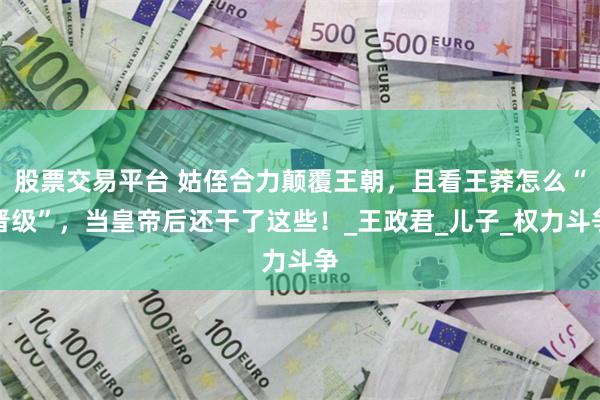 股票交易平台 姑侄合力颠覆王朝，且看王莽怎么“晋级”，当皇帝后还干了这些！_王政君_儿子_权力斗争