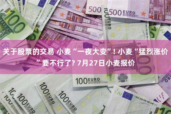 关于股票的交易 小麦“一夜大变”! 小麦“猛烈涨价”要不行了? 7月27日小麦报价
