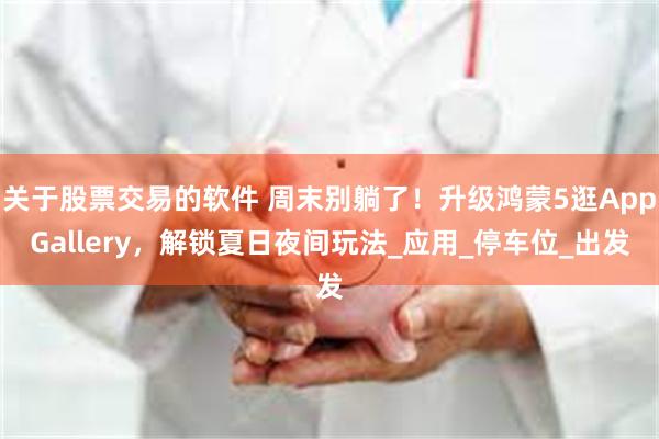 关于股票交易的软件 周末别躺了！升级鸿蒙5逛AppGallery，解锁夏日夜间玩法_应用_停车位_出发